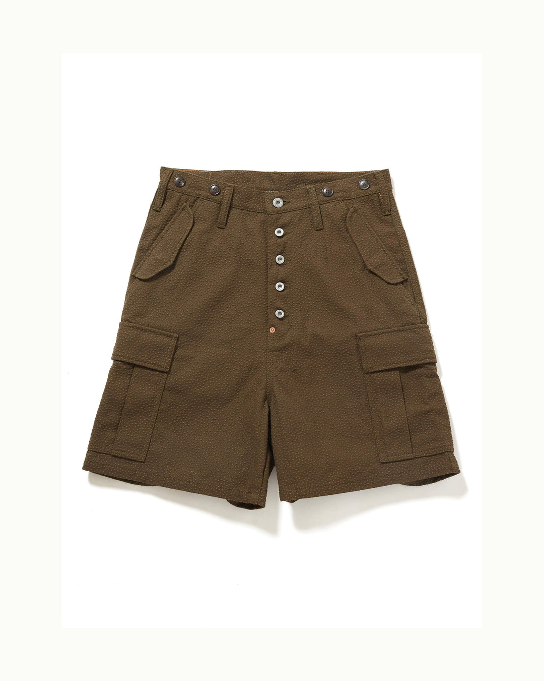 GRAIN CANVAS CARGO SHORT PANTS